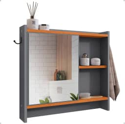 Espelheira Genova 1 Porta Espelho Armarinho Banheiro Suspenso Prateleira Organizadora - Lojas RPM (Cinza/Cinamomo)