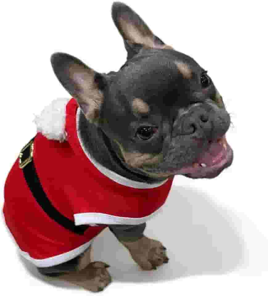 WAY PET Roupa Fantasia para Cães Natal, Fantasia Papai Noel e Mamae Noel para Cachorro, Roupa para Cães com Capuz de Pompom (X-pequeno, PAPAI NOEL)