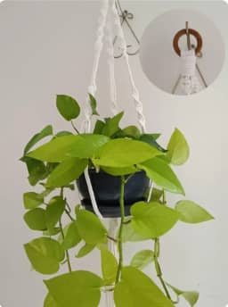 Suporte de Planta Macrame Artesanato feito a mão com fios 100% algodão Para vasos P- M-G - GG