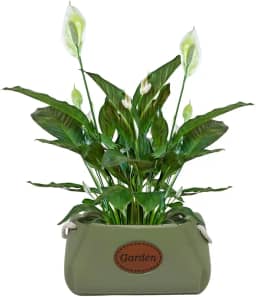 Cachepot Floreira Garden em Cerâmica Decorativa (05 Verde)