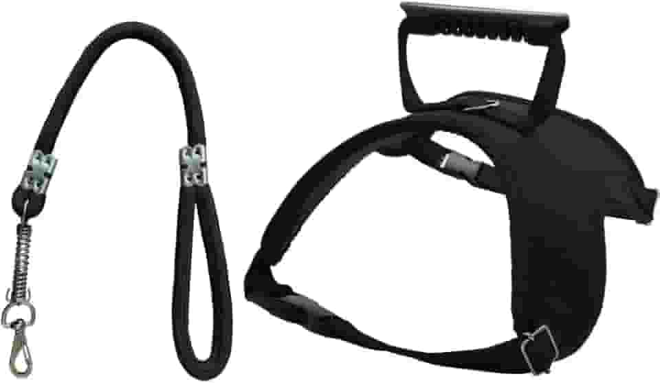 Coleira peitoral amortecedora para cães grandes e médios fortes coleira cachorros(P,Preto)