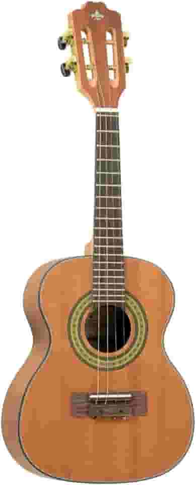 Cavaquinho Strinberg Cs25 Mgs