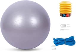 Bola Pilates Yoga Abdominal Ginástica Fitness 65 cm C/Bomba PRATA