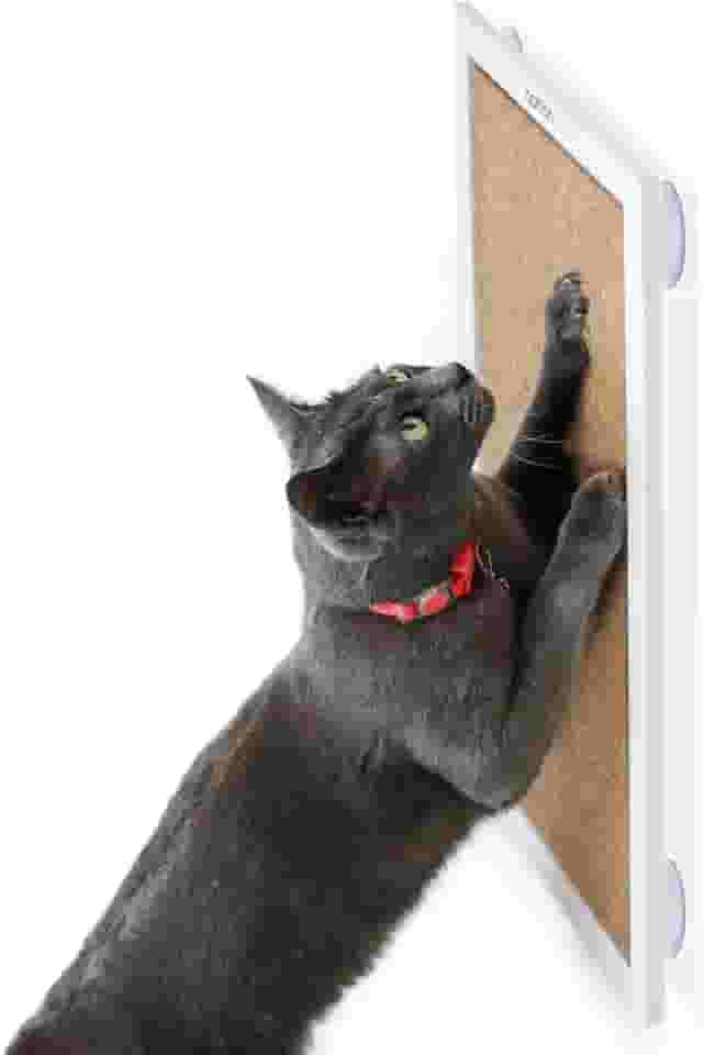 Arranhador com Ventosas para Gatos, Arranhador com Catnip Gatton, Slim RonRock Plug Branco