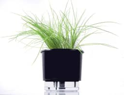 Vaso Auto Irrigável N 04 - Grande - Raiz Preto