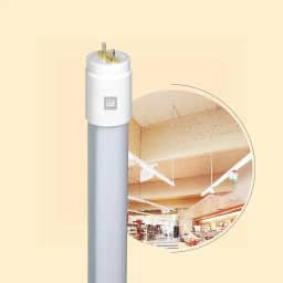 Kit 25 Lâmpadas Led Tubulares 18W T8 Base G13 de 120cm 4000K Branco Neutro Bivolt e Ligação Um Lado.