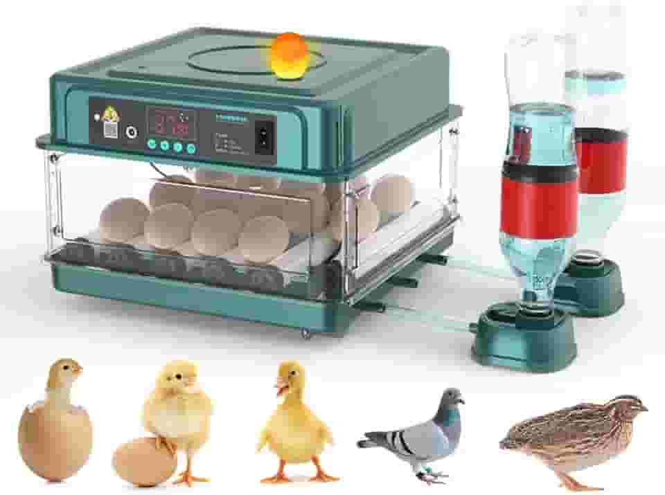 APlayfulBee Incubadora Automática de Ovos 12-38 Ovos Máquina de Chocadeira Digital para Aves com Viragem Automática de Ovos, Controle de Temperatura E Umidade, Iluminação Led Eficiente para Galinhas,