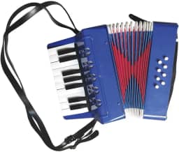 Mini Acordeon Sanfona Musical Infantil Criança 8 Baixos