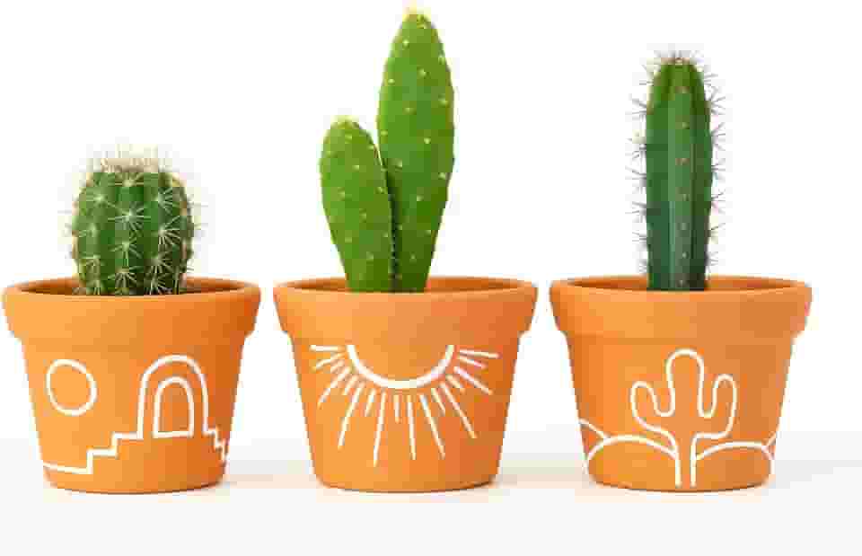 Kit 3 Vasos de Barro Estilo Sertão – Ideal para Cactos e Suculentas