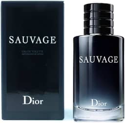 Sauvage Masculino de Christian Dior Eau de Toilette 100ml