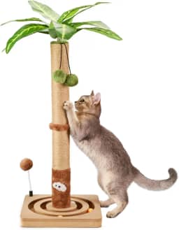 MECOOL Poste arranhador para gatos resistente e premium com bola pendurada e brinquedo de pista de bola fofa para gatos 76 cm para gatinhos internos
