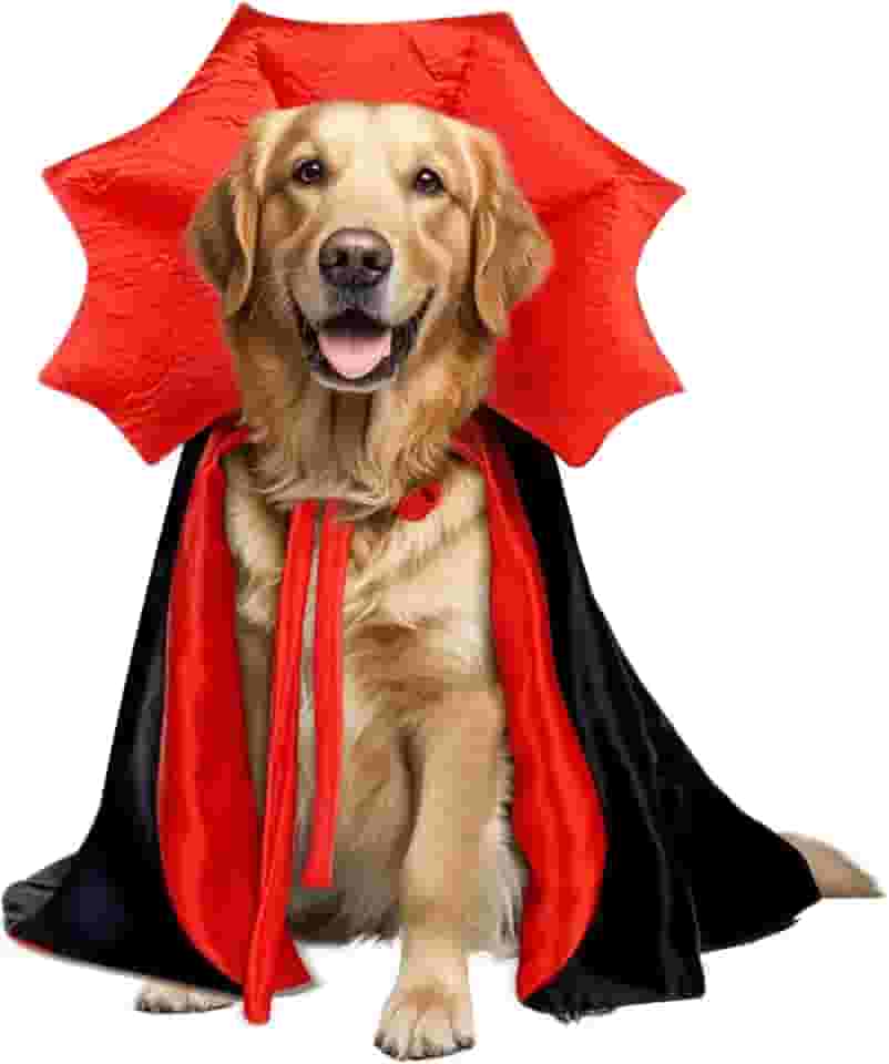 Fantasia de Halloween Golden Retriever, capa de vampiro de cachorro extragrande para pastor alemão alemão, fantasia de cachorro grande GG (ampire, GG)