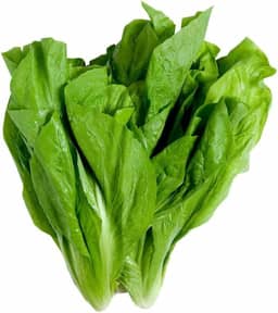 Sementes de Hortaliças, Variedades Diversas, Monte seu Kit Personalizado (Almeirão Folha Larga 30 Sementes)