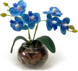 Arranjo Mini Orquídea Artificial no Vaso de Vidro Transparente com Casca – Decoração Sofisticada (Azul)