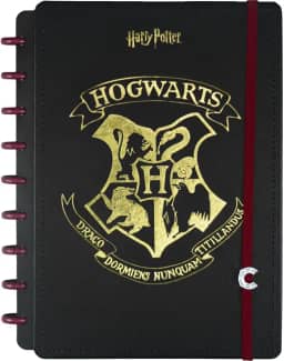 Caderno Inteligente, Médio, Harry Potter, 172x231mm, 80 Folhas