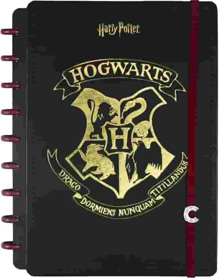 Caderno Inteligente, Médio, Harry Potter, 172x231mm, 80 Folhas