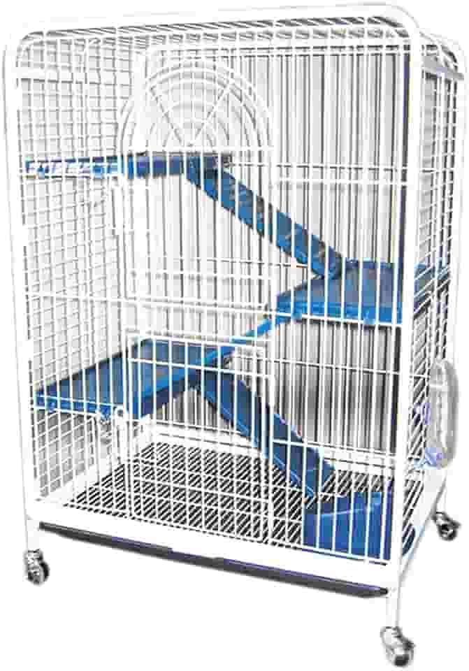 Gaiola American Pets Luxo Habitat Para Coelhos E Semelhantes, Preto