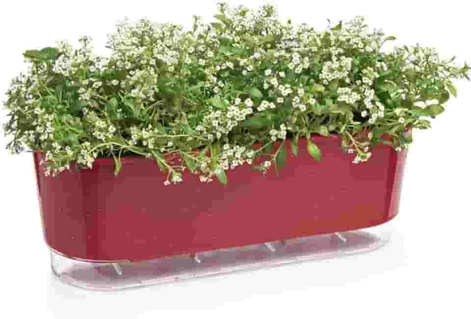 Vaso Jardineira Autoirrigável Geléia 40cm Raiz Terrazo Para Todos Tipos de Plantas