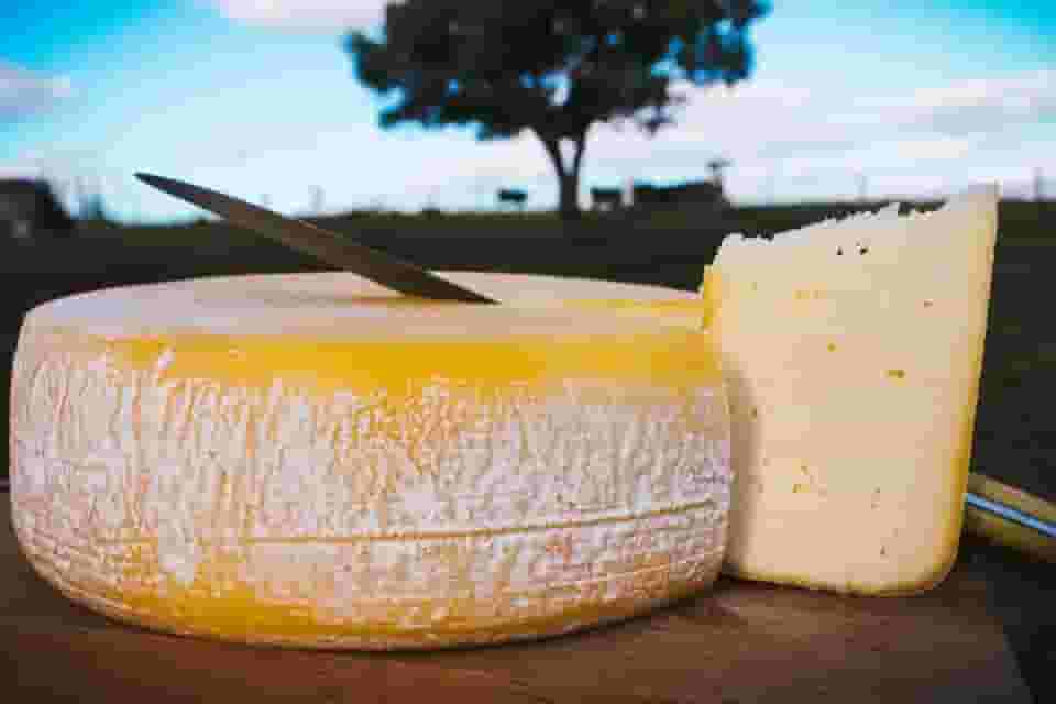 Queijo Minas Artesanal Meia Cura, 20 dias de Maturação, Semi-Duro, Produzido na região da Serra da Canastra - 1kg