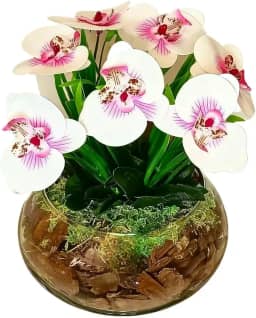 Arranjo Decorativo De Orquideas Artificiais Em Silicone Realistas Com Vaso De Vidro Para salas quartos(Branca e Rosa)
