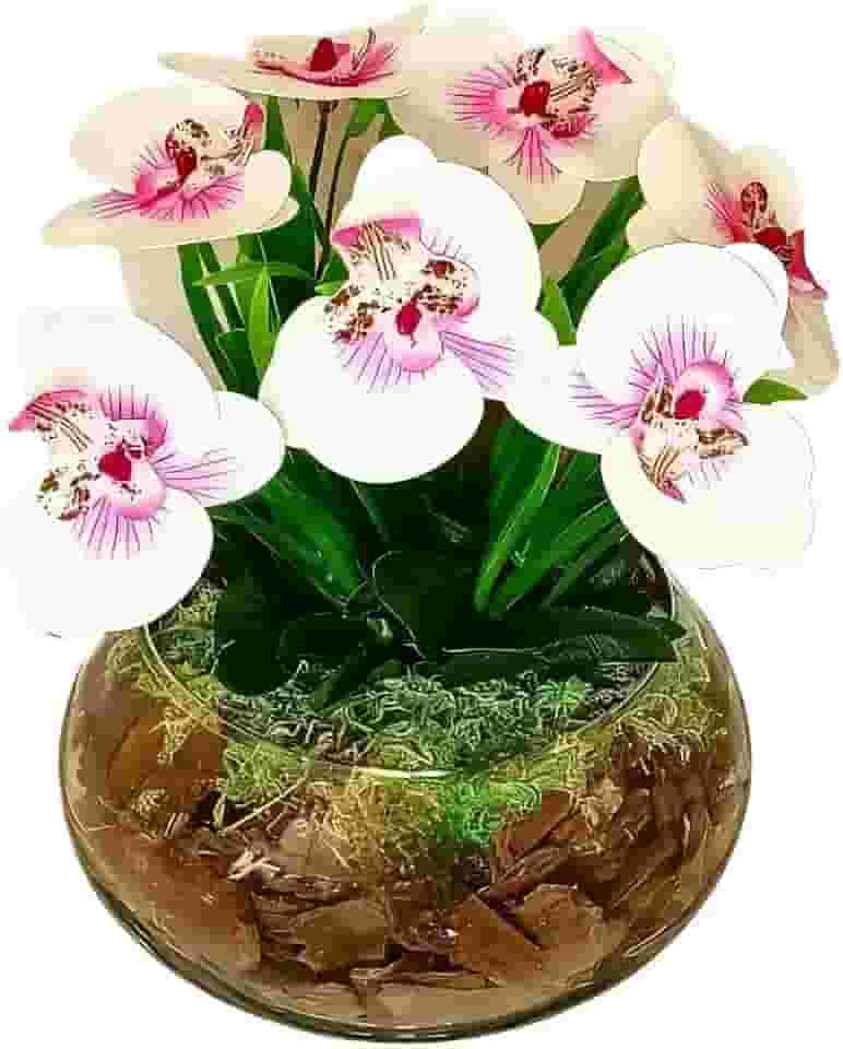 Arranjo Decorativo De Orquideas Artificiais Em Silicone Realistas Com Vaso De Vidro Para salas quartos(Branca e Rosa)