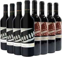 Kit com 8 Vinhos Chilenos Tinto Seco Cabernet Sauvignon e Carmenere Cuentos del Fuego