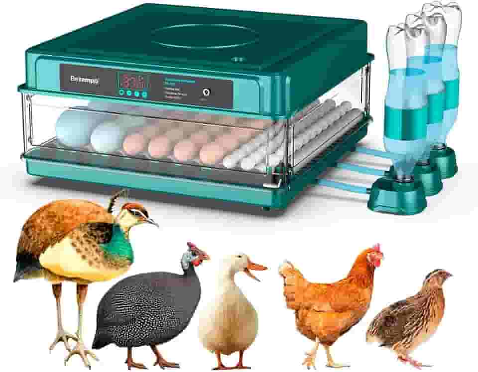 Chocadeira Incubadora Automática Bivolt Para 130 Ovos Certificada Pelo Inmetro Bt-400 Beltempo