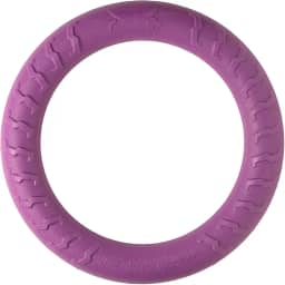 Jambo Pet, Brinquedo, Anel Strong Ring, Ideal Para Cães de Grande Porte, Espuma Expandida, Fácil de Morder e Reduz o Estresse, Resistente, Diversas Cores (Roxo)