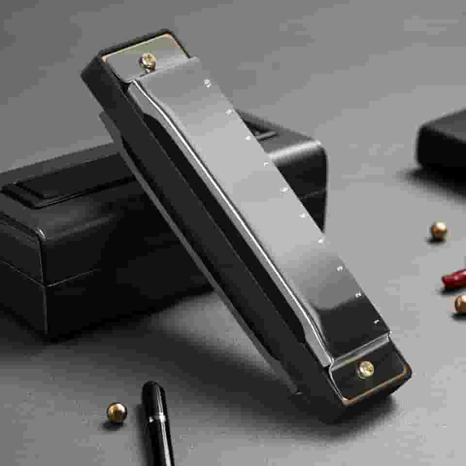 Gaita, Gaita de Boca, Gaita Diatônica Blues Chave C, Blues Boca Organ Harmonica 10 Furos com Caixa Preto, Gaita Padrão para Adultos, Profissionais, Iniciantes e Estudantes, 100 * 28 * 18mm