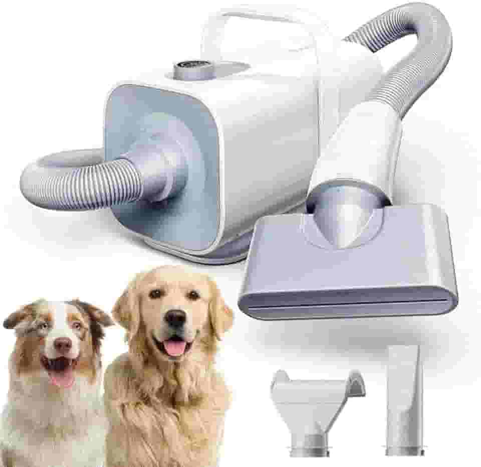 Soprador Silencioso com Aquecimento para Cães e Gatos, 99 Velocidades, Controle de Temperatura, 3 bocais, Secador Soprador Pet Shop Banho e Tosa Rápido e Suave, 2 em 1, 220v - HomerunPET