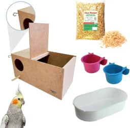 Kit Ninho para Calopsita com Ganchos mais Comedouro e Bebedouro, Banheira Grande e Mini Serragem Maravalha