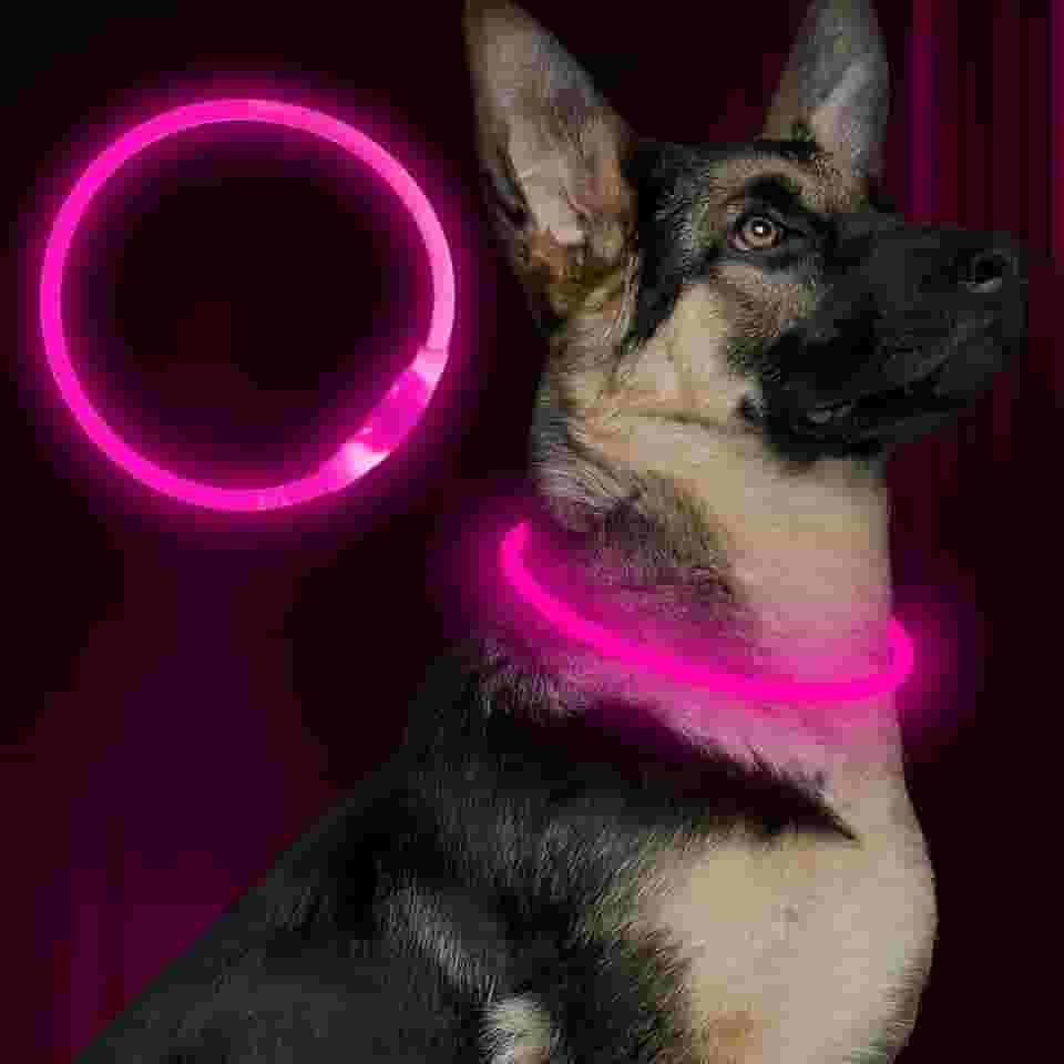 Coleira LED para cães, BSEEN USB, recarregável, para cães, leve, coleira de segurança para animais de estimação faz com que seus amados cães sejam vistos à noite para cães pequenos, médios e grandes