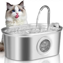 Bebedouro para Gatos, 3.2L Fonte Gato Inox Comedouros, Fonte de Agua Pra Gato, Bebedouros e Acessorios para Gatos, Janela de Nível de água, Bivolt