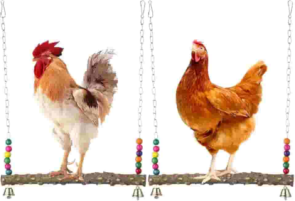 Baloiços e poleiros para pássaros de galinha, papagaios de galinheiro, balanços de madeira natural, galinhas de galinha, acessórios para galinheiros, suportes de madeira para galinheiros, brinquedos