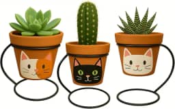 Kit Vasos Artesanais em Barro com Pintura à Mão – Suporte Moderno Incluso