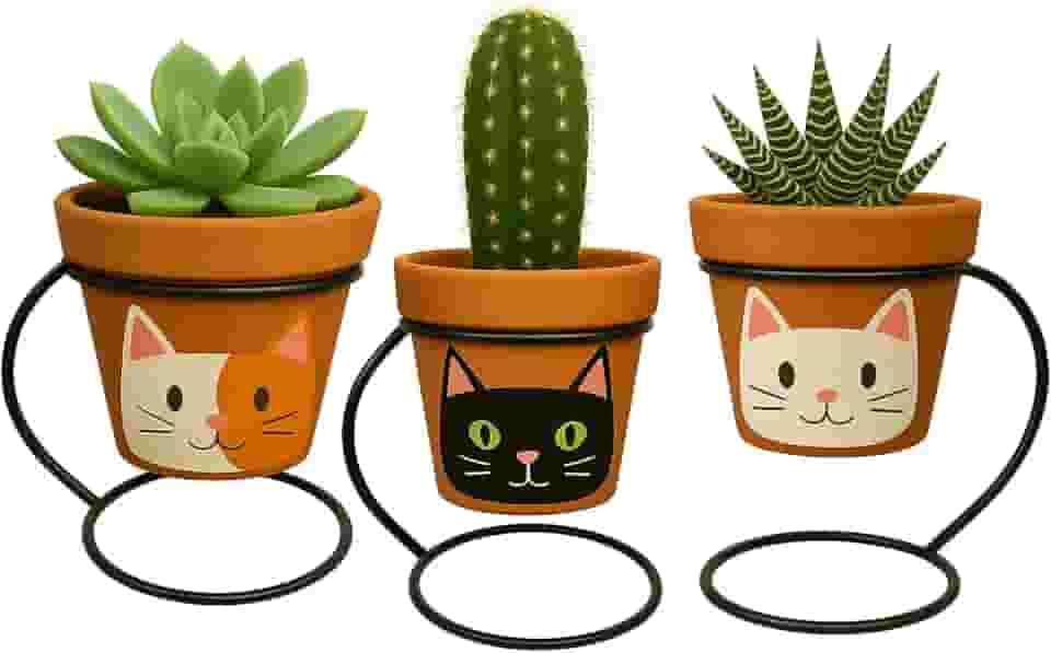 Kit Vasos Artesanais em Barro com Pintura à Mão – Suporte Moderno Incluso