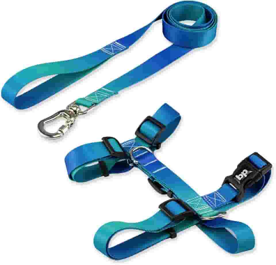 Coleira Peitoral Com Guia Para Cachorro Cães Modelo Tradicional H Tamanho Porte Grande Médio Pequeno (G, Lake)