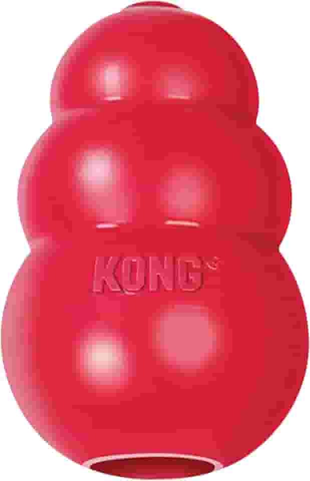 Brinquedo Kong Classic Large T1