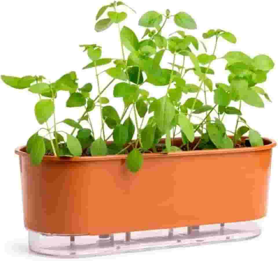 Vaso Jardineira Autoirrigável Preto 40cm Raiz Terrazo Para Todos Tipos de Plantas (Terracota)