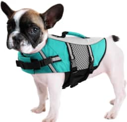 Queenmore Colete salva-vidas para cães, pequeno, médio, neoprene para passeios de barco, colete salva-vidas leve reflexivo para cães e filhotes de cachorro caiaque para buldogue francês, Yorkie