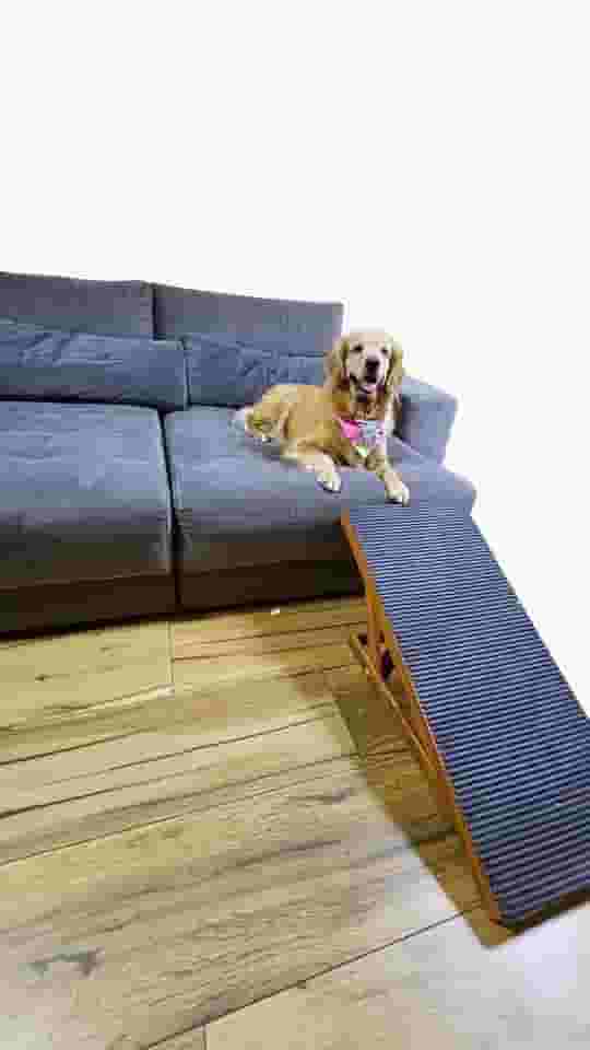 Rampa Pet Com 4 níveis de Regulagem Em Madeira Antiderrapante para Cães e Gatos Porte Pequeno Ao Extra Grande – Suporta até 40kg, Luma Pet - Madeira com Verniz