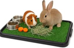 Tapete de Grama Sintética para Roedores, Coelho, Chinchila, Porquinho da Índia