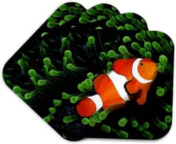 3dRose Peixe anêmona palhaço - porta-copos macios, conjunto de 4, conjunto de 4 unidades, macio, varia