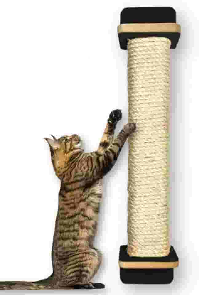 Arranhador de Parede para Gatos Sem Necessidade de Furar a Parede 80cm de Altura Resistente Sisal de 8mm (Preto)