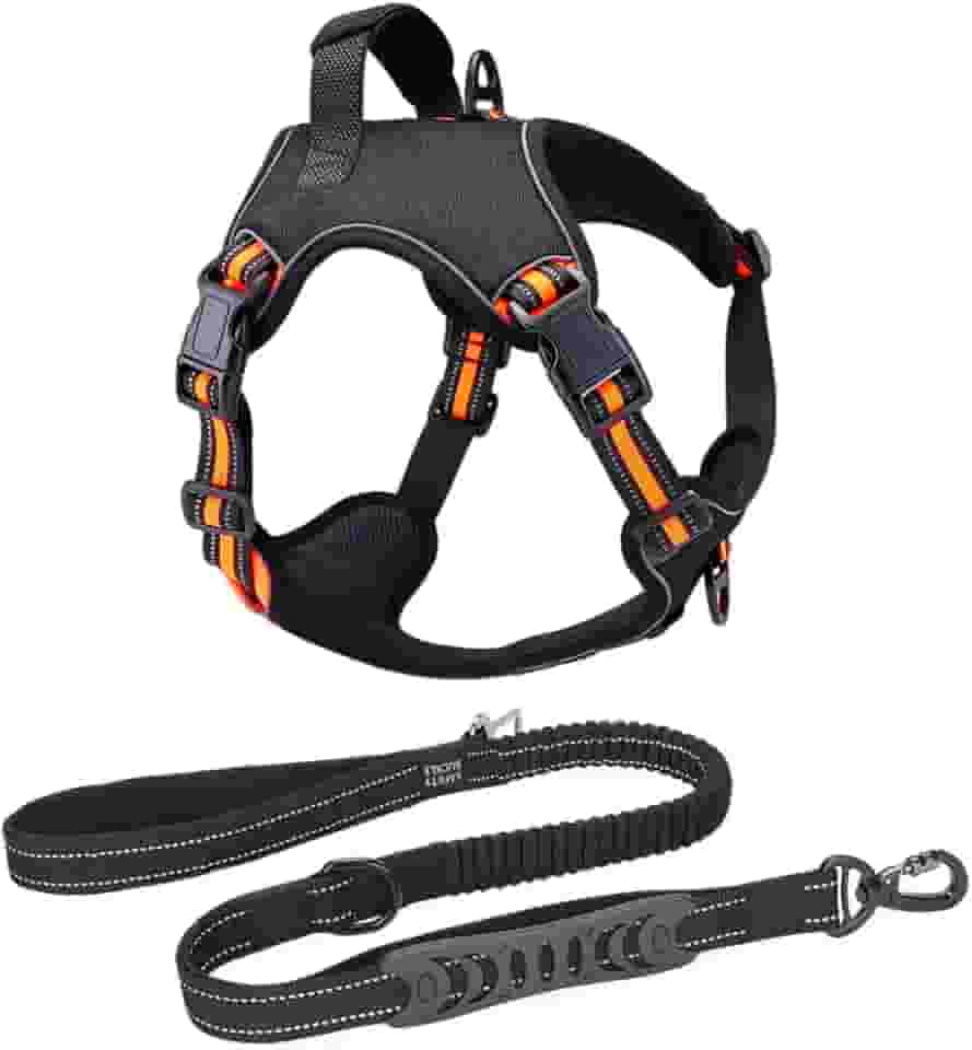 Coleira Peitoral Antipuxão Cachorro Power MADOG + Guia Elástica com Cinto de Segurança (Laranja, G)