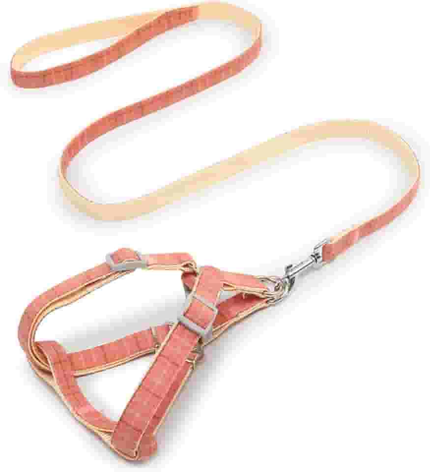 Coleira para cães com amortecedor de choque macia de dois tons