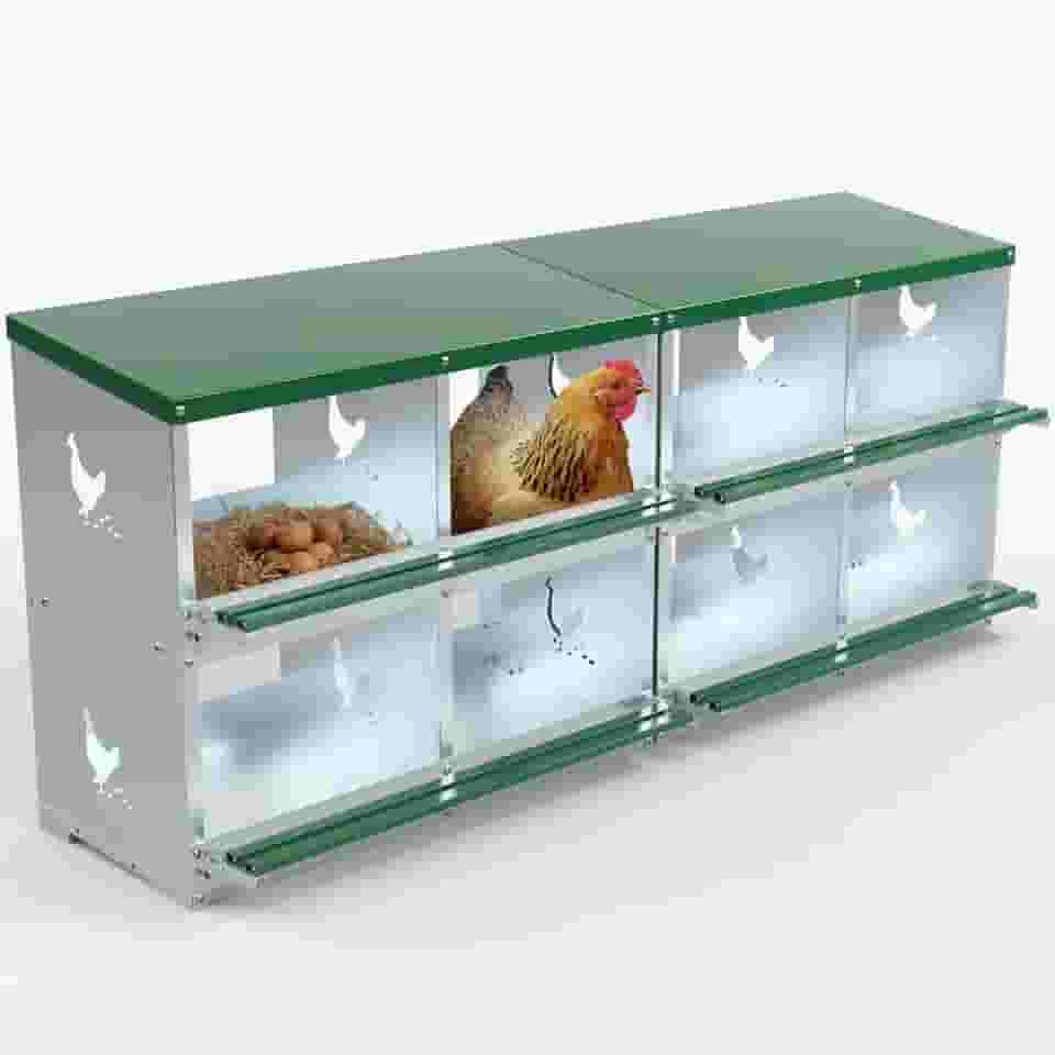 Caixas de ninho de galinha, caixa de assentamento de 8 furos para colocar ovos, caixas de ninho de metal resistente para galinhas e aves coletarem ovos, caixa de galinha para galinhas e