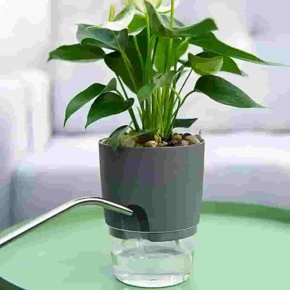 Vasos de flores autoirrigáveis, vasos autoirrigáveis para plantas de interior, vasos de plástico com corda de algodão absorvente (cinza, 8,2 x 11,3 cm)