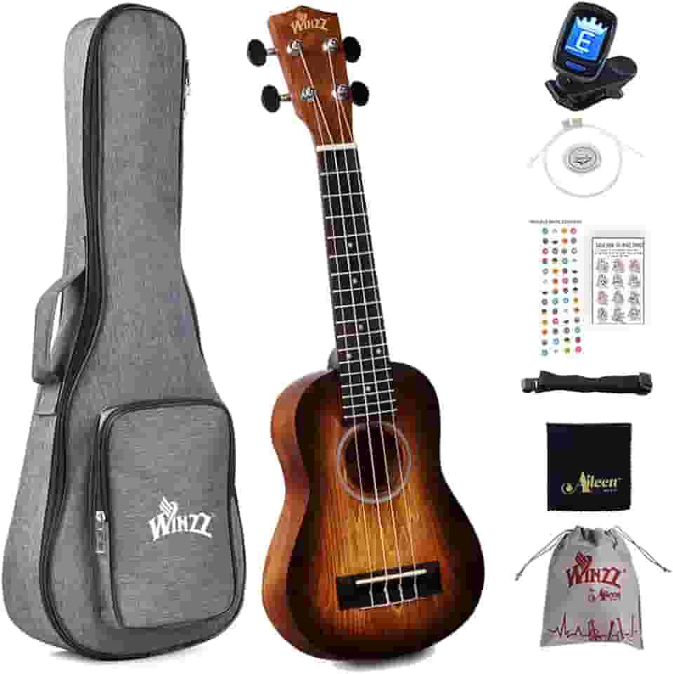 Winzz Kit para iniciantes Ukulele Soprano para crianças e adultos, 53 cm com 8 acessórios, design de cor exclusivo - marrom