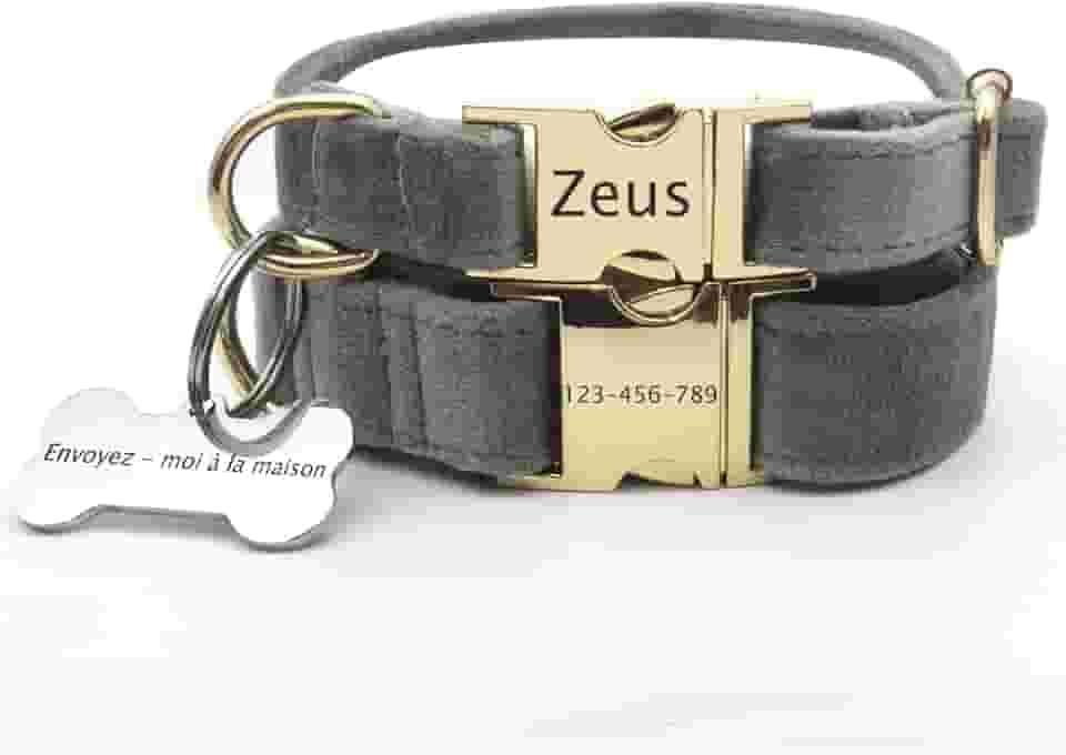 Coleira de cachorro peluda macia personalizada com etiqueta de cachorro personalizada, gravação a laser, 24 fontes, circunferência do pescoço de 20-30 cm (cinza)